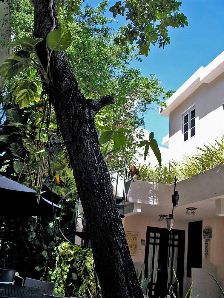Oceana Hostal Playero San Juan Exterior foto